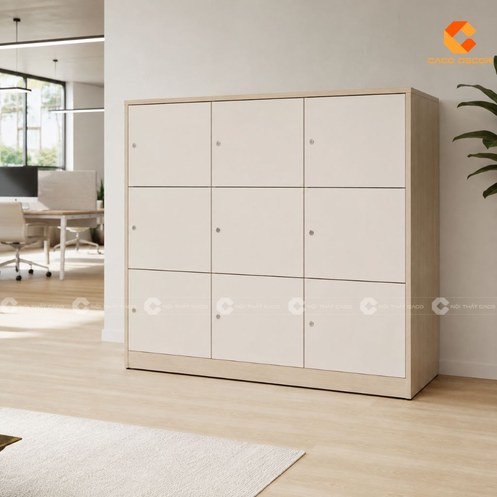TOP Tủ Locker Văn Phòng, Tủ Đựng Đồ Cá Nhân Giá Tốt TPHCM 11
