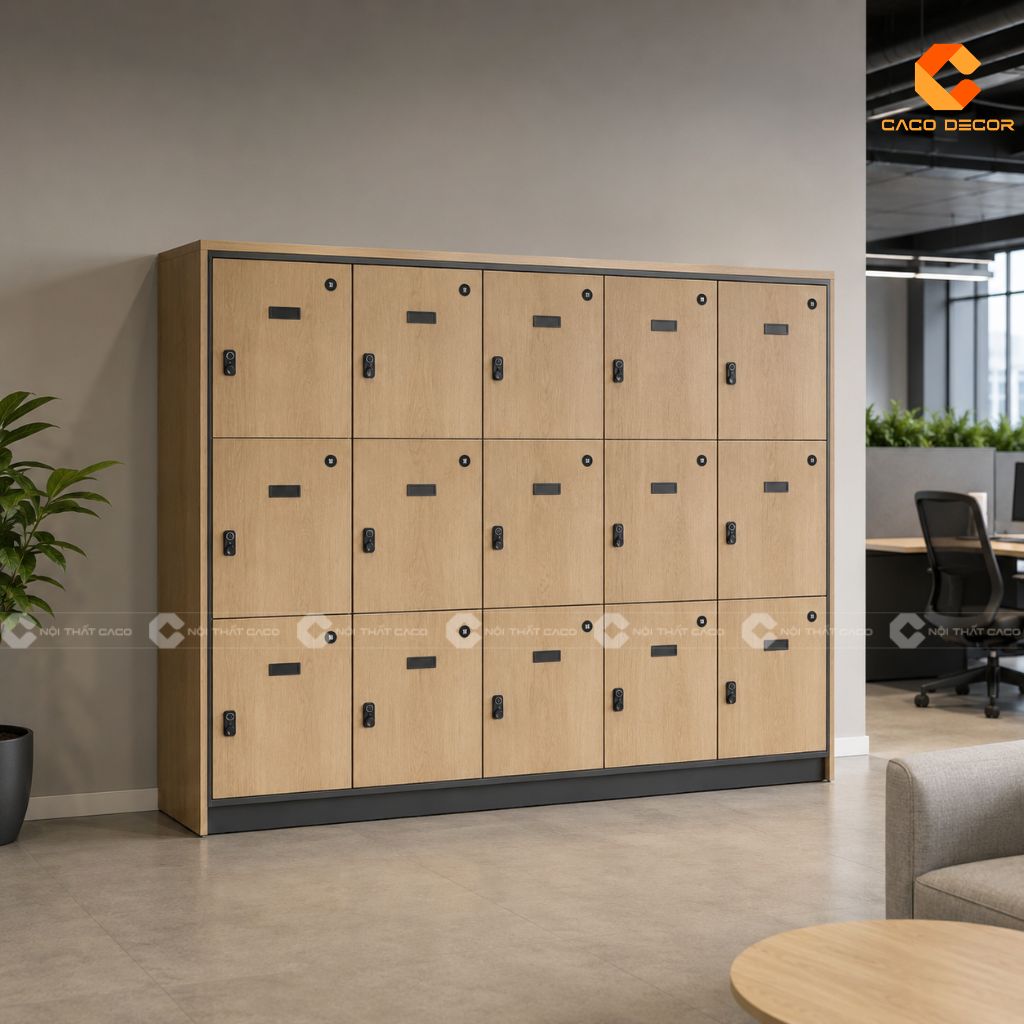 TOP Tủ Locker Văn Phòng, Tủ Đựng Đồ Cá Nhân Giá Tốt TPHCM 9