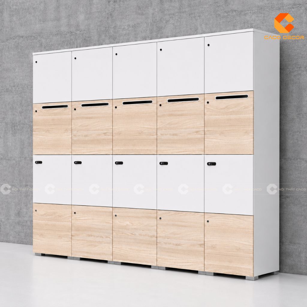 TOP Tủ Locker Văn Phòng, Tủ Đựng Đồ Cá Nhân Giá Tốt TPHCM 7