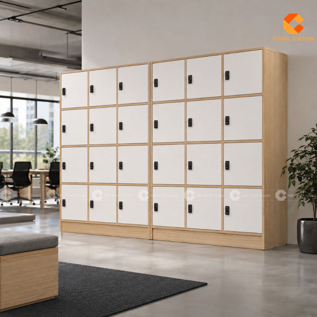 TOP Tủ Locker Văn Phòng, Tủ Đựng Đồ Cá Nhân Giá Tốt TPHCM 2