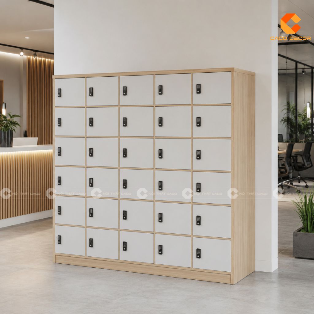 TOP Tủ Locker Văn Phòng, Tủ Đựng Đồ Cá Nhân Giá Tốt TPHCM 1