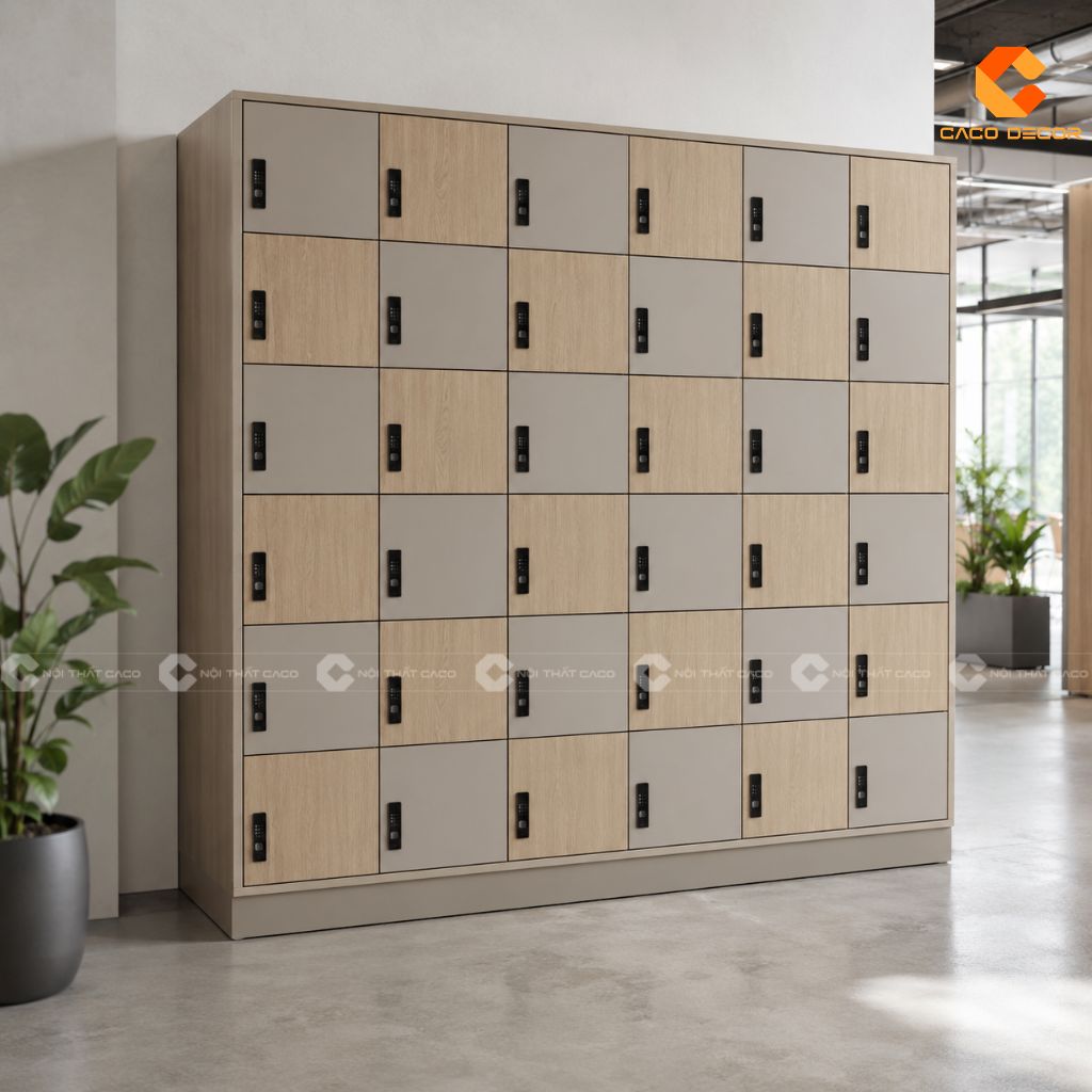 TOP Tủ Locker Văn Phòng, Tủ Đựng Đồ Cá Nhân Giá Tốt TPHCM 15