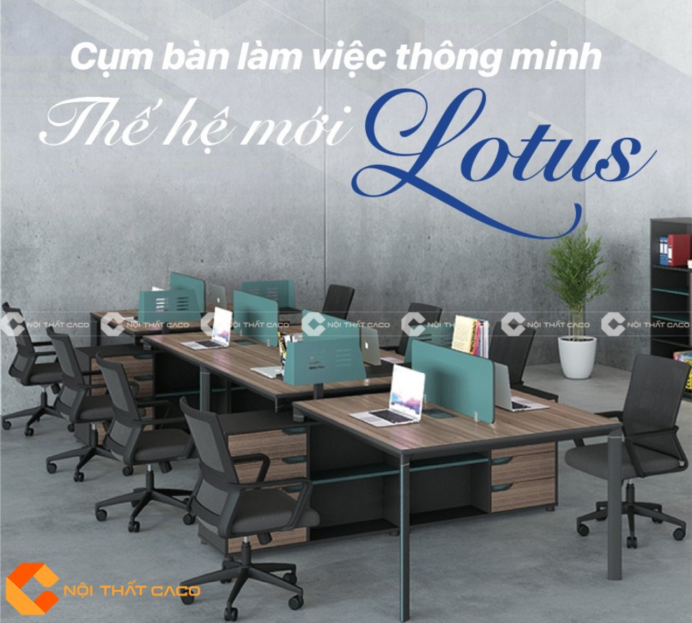 Thi công nội thất văn phòng làm việc hiện đại tại quận 9