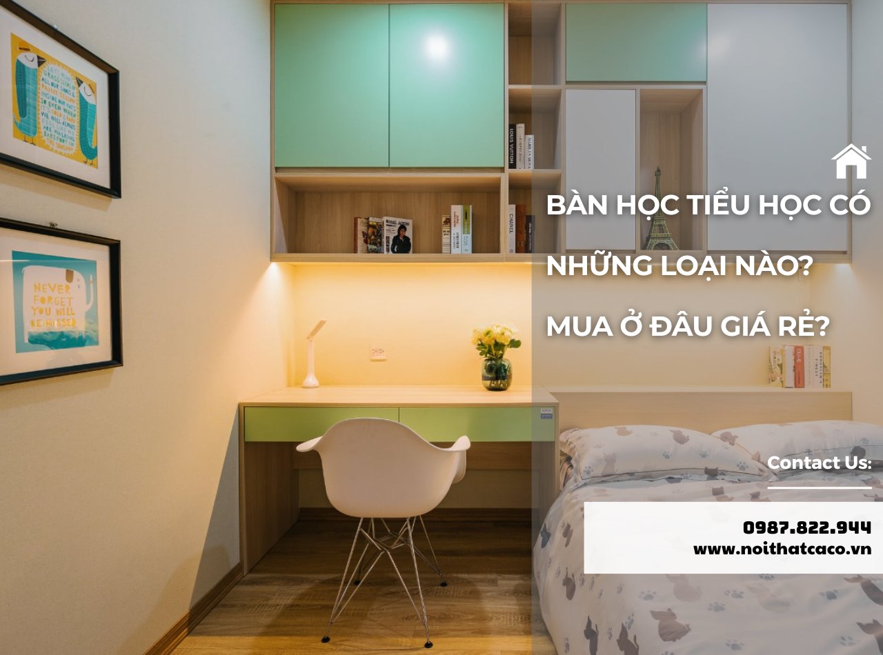 Bàn học tiểu học có những loại nào? Mua ở đâu đẹp, giá rẻ?