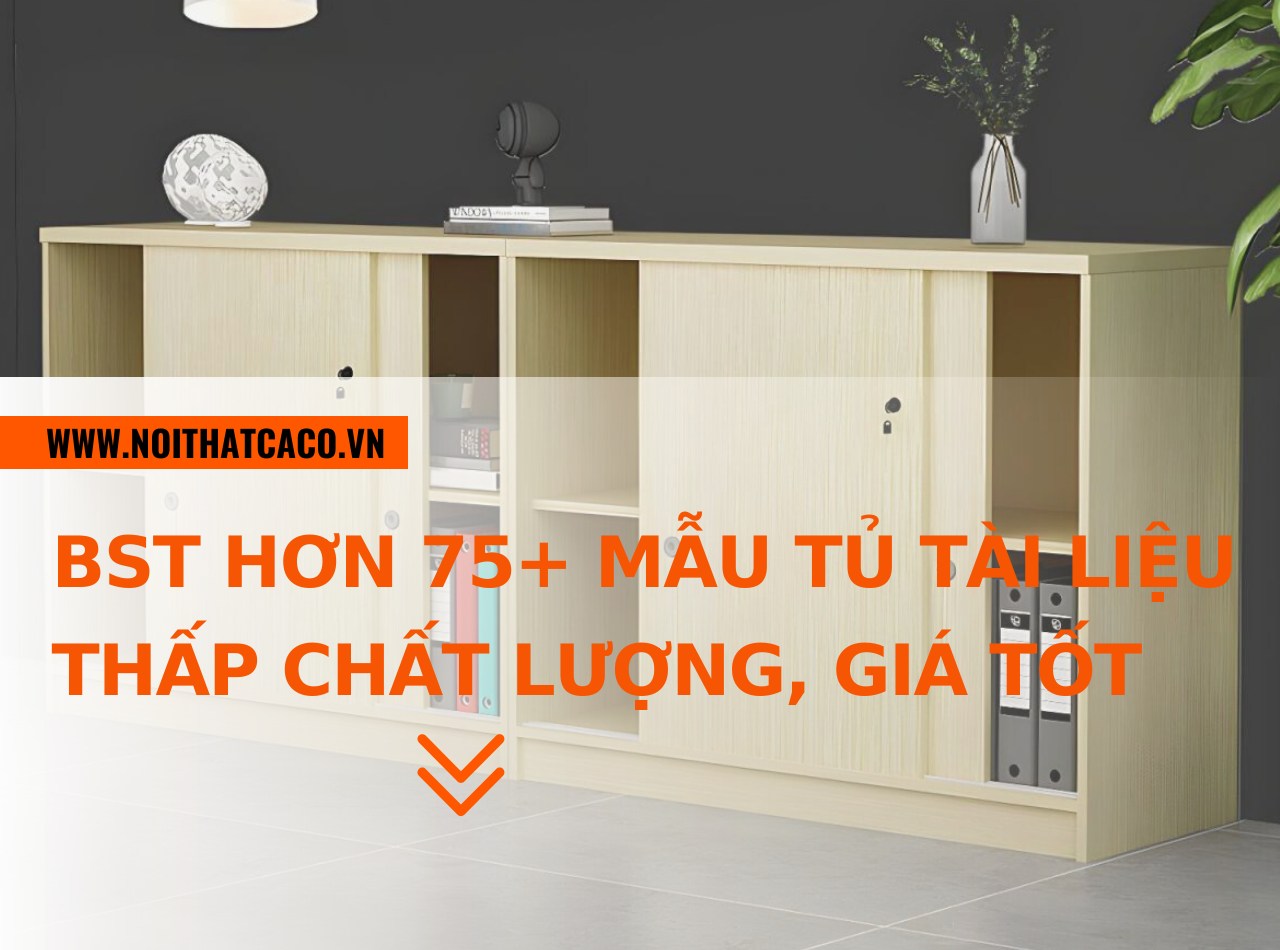 BST Hơn 75+ mẫu tủ tài liệu thấp đẹp, chất lượng, giá tốt