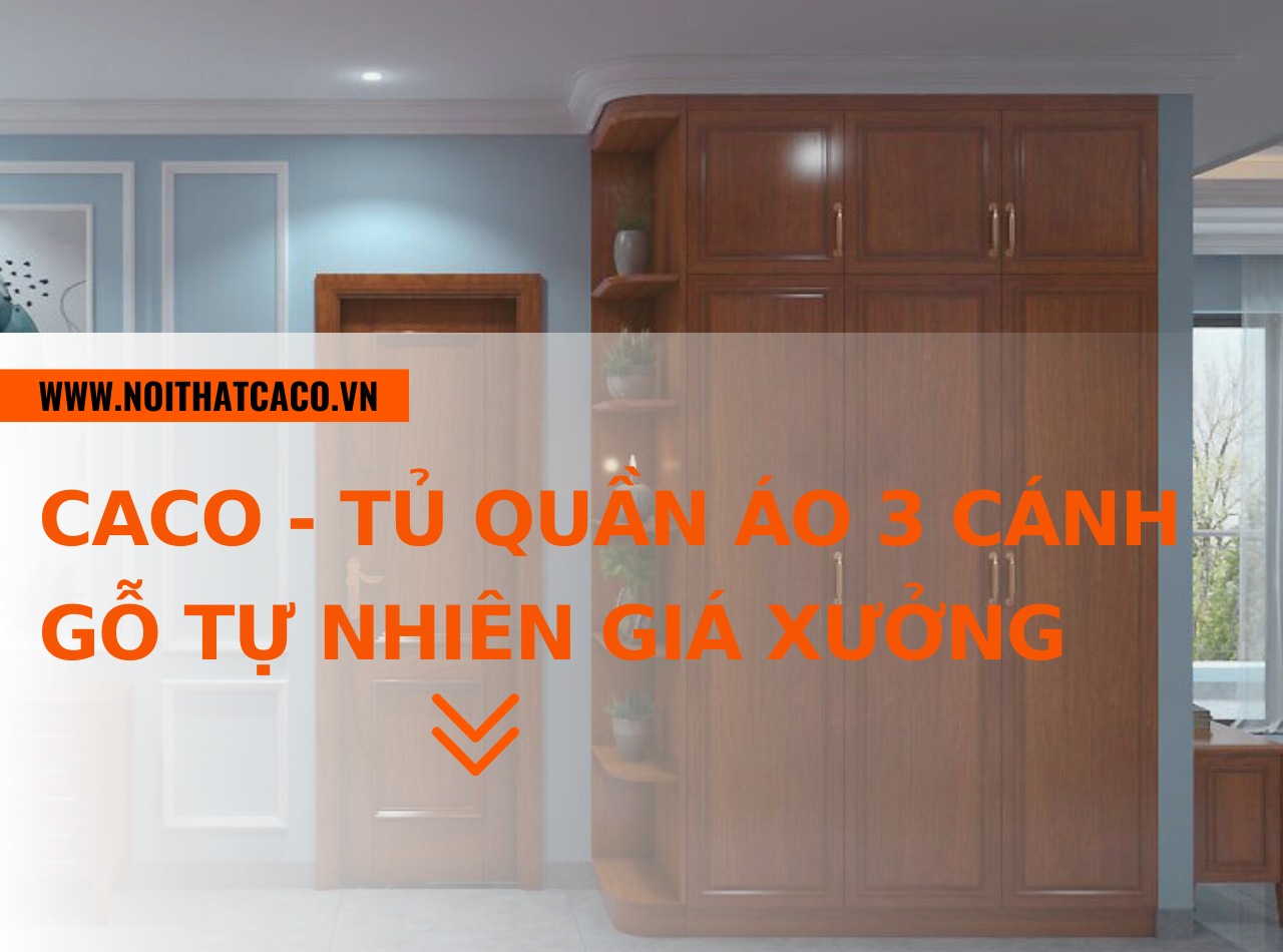 CaCo - chuyên tủ quần áo 3 cánh gỗ tự nhiên đẹp, giá xưởng