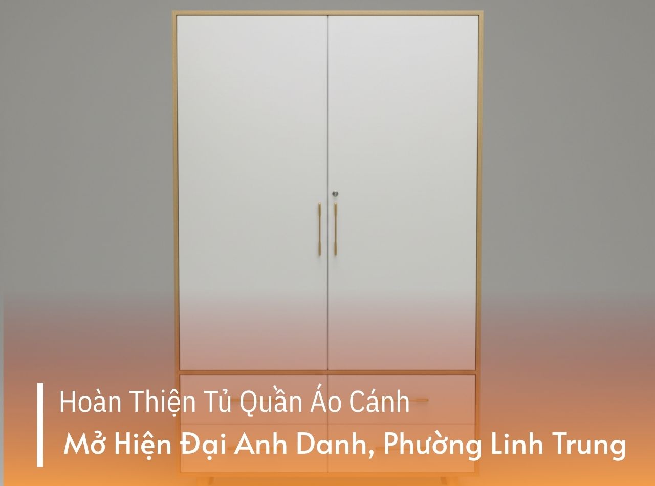Hoàn Thiện Tủ Quần Áo Cánh Mở Hiện Đại Cho Anh Danh, Phường Linh Trung