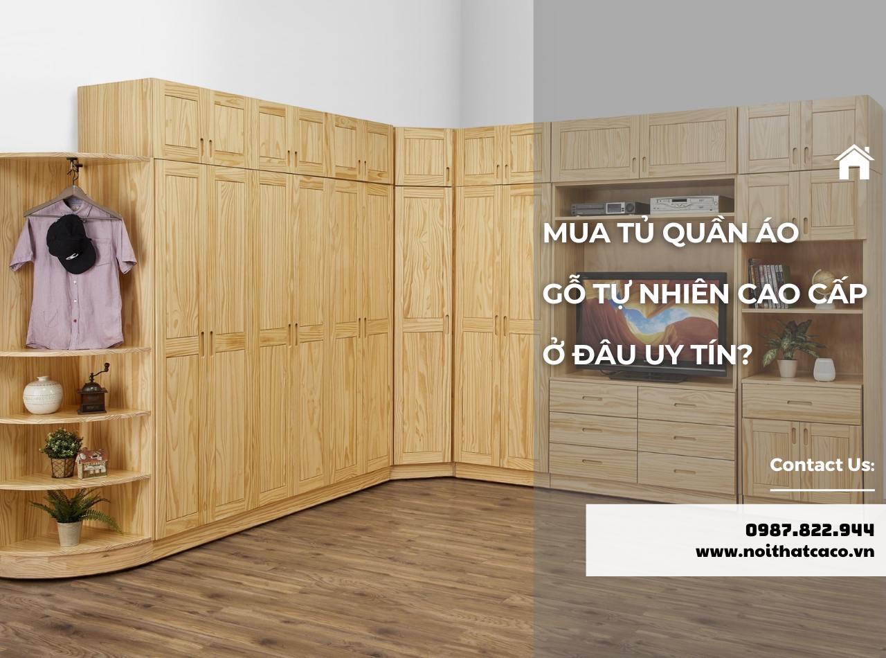 Mua Tủ Quần Áo Gỗ Tự Nhiên Cao Cấp Ở Đâu Uy Tín, Chất Lượng?